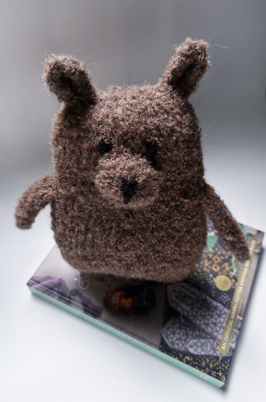 Cocoa — The Gentle Protector